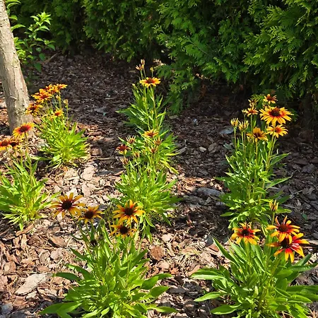 Komfortowy Dom Caloroczny - Sauna, Jacuzzi, Bilard Ferienhaus