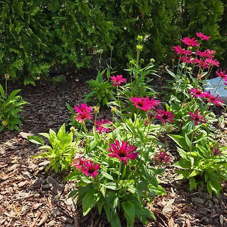 Komfortowy Dom Caloroczny - Sauna, Jacuzzi, Bilard Ferienhaus Tylowo