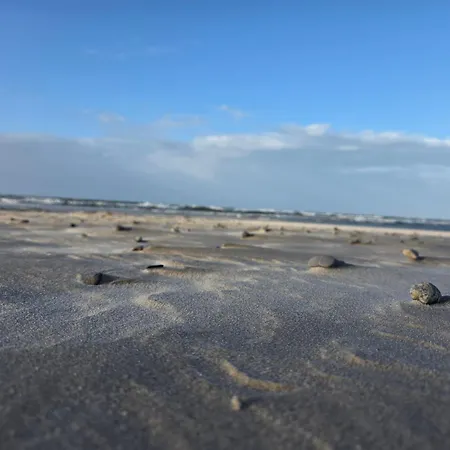 Сasa de vacaciones Komfortowy Dom Caloroczny - Sauna, Jacuzzi, Bilard *