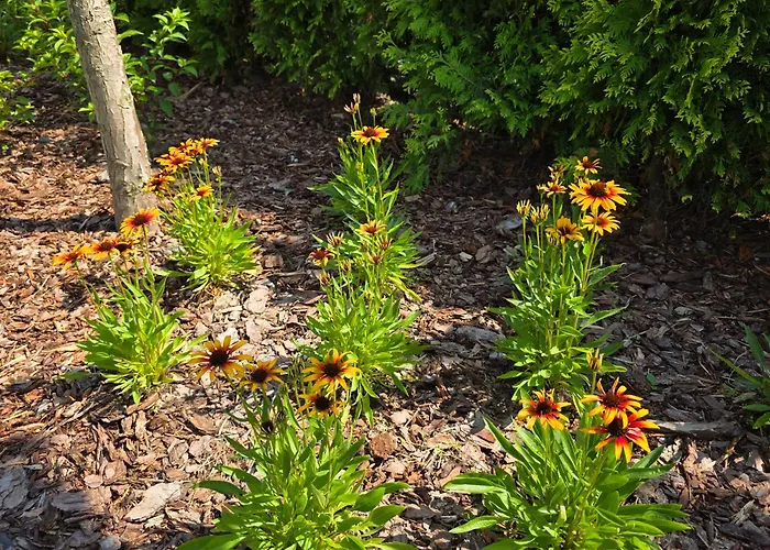 Komfortowy Dom Całoroczny - Sauna, Jacuzzi, Bilard Dom wakacyjny