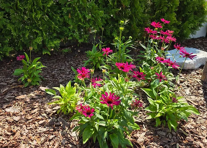 Komfortowy Dom Całoroczny - Sauna, Jacuzzi, Bilard Dom wakacyjny Tylowo
